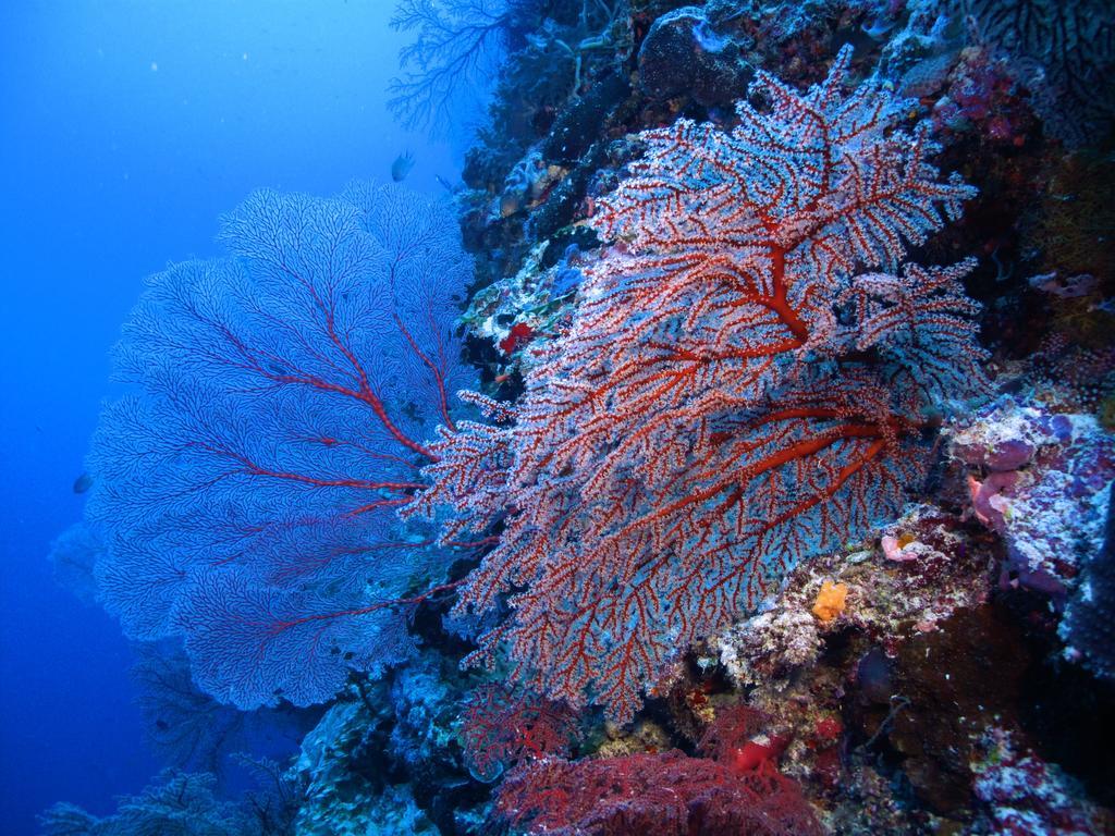 Diving Center Punta Stilo Apartment Luaran gambar