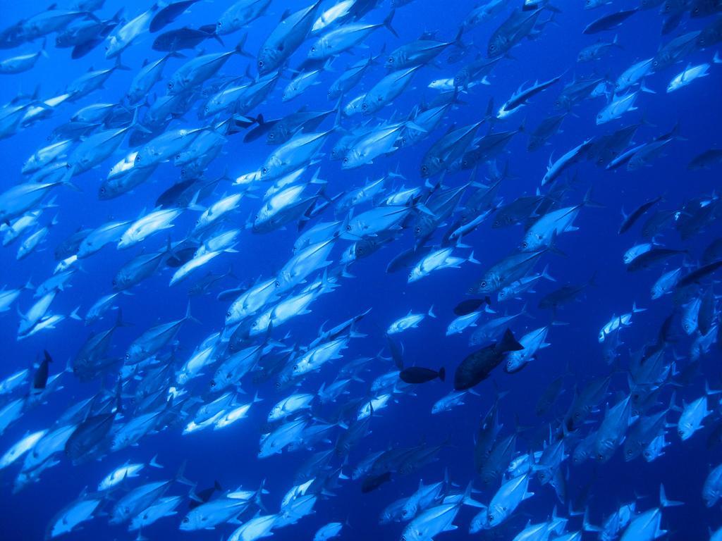 Diving Center Punta Stilo Apartment Luaran gambar